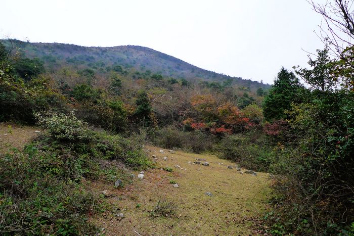 P1050036.jpg
