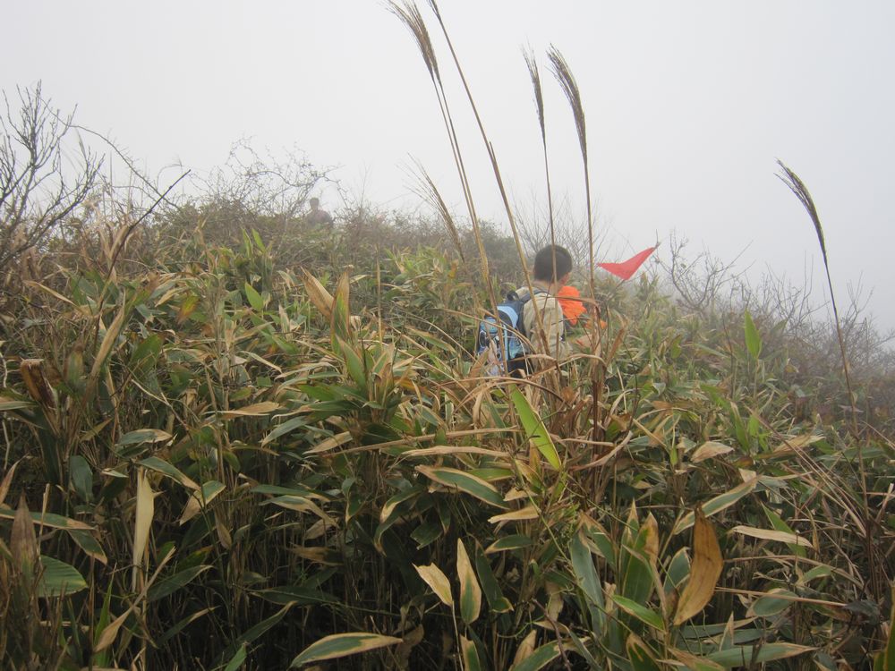东搬山 056.jpg