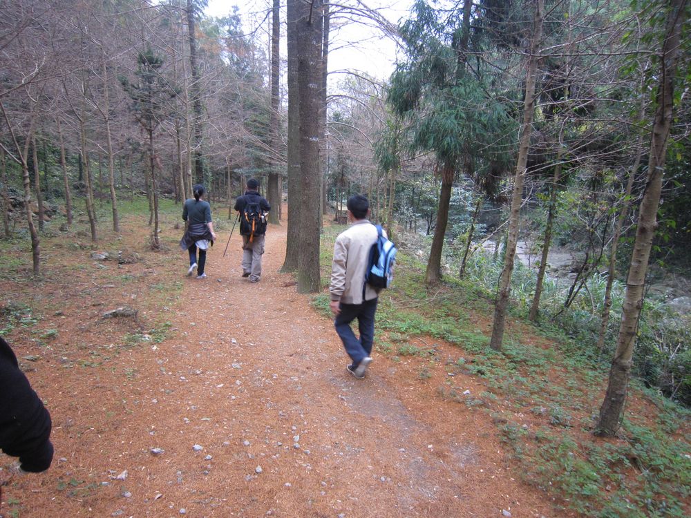 东搬山 182.jpg