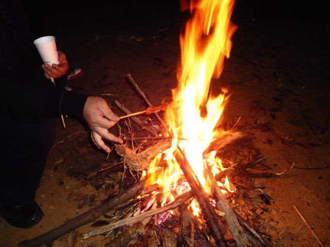 P1020653.JPG