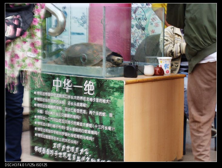 nEO_IMG_DSC05276.jpg
