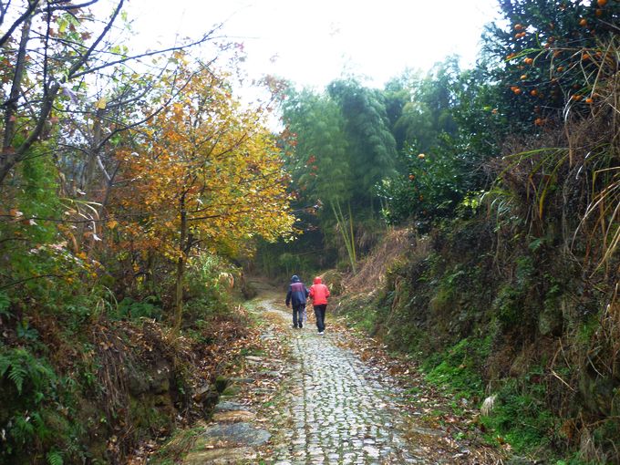 P1030231.JPG