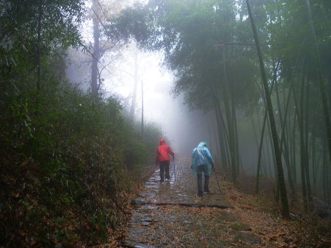 P1030245.JPG