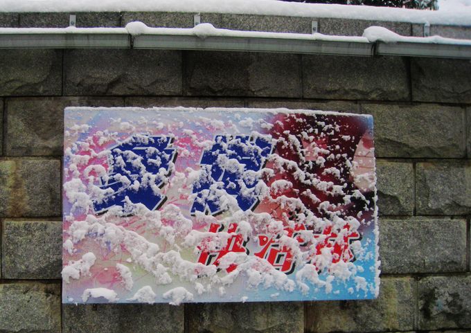 IMG_8780.JPG