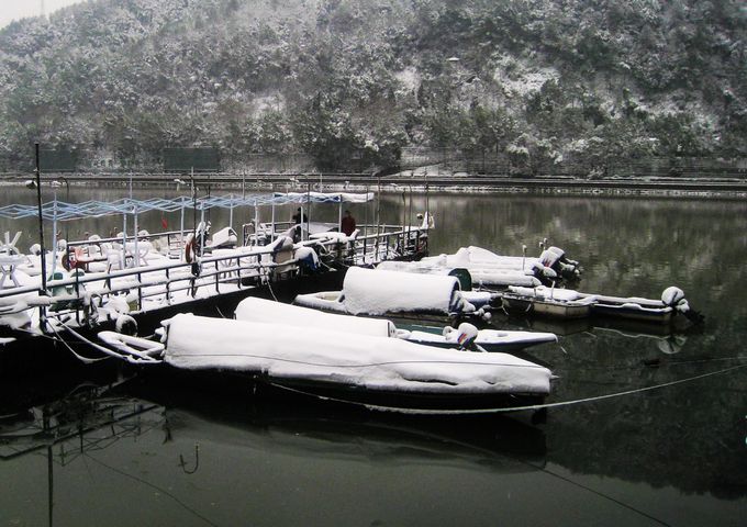 IMG_8785.JPG