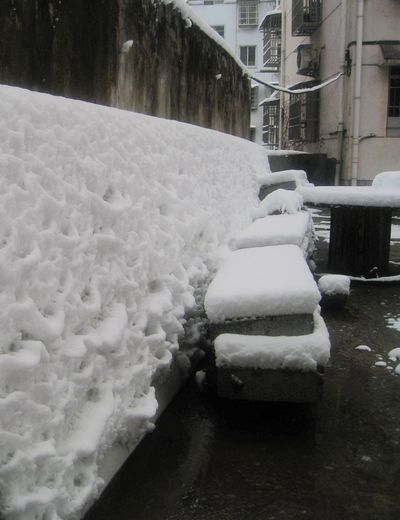 IMG_8839.JPG