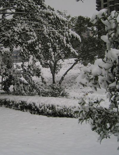 IMG_8800.JPG