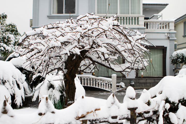 2010年的第一场雪 (4).jpg