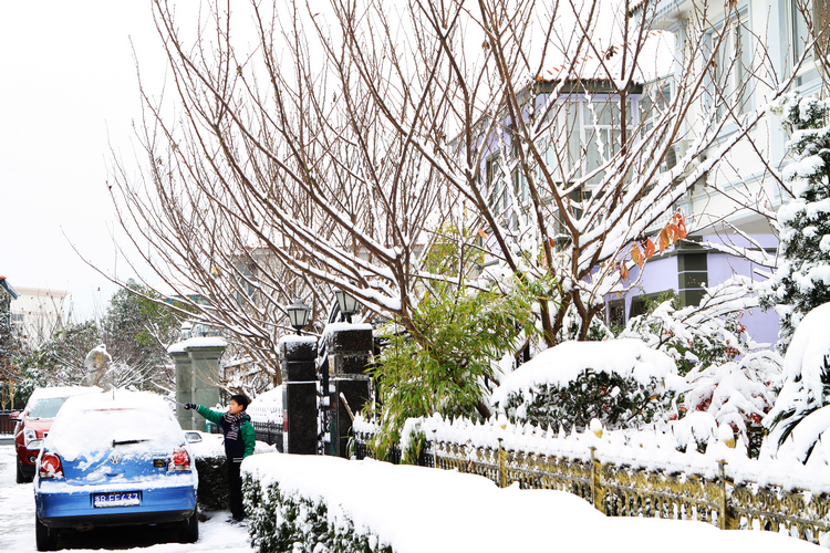 2010年的第一场雪 (265).jpg