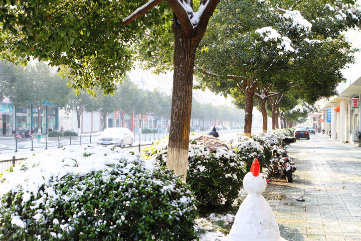 2010年的第一场雪 (41).jpg