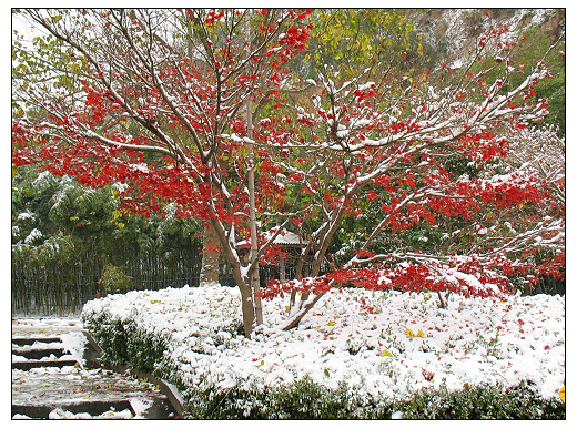 雪景 066.jpg