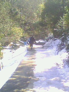 IMG0452A.jpg