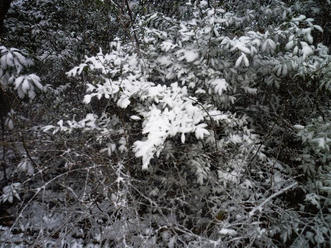 P1030744.JPG