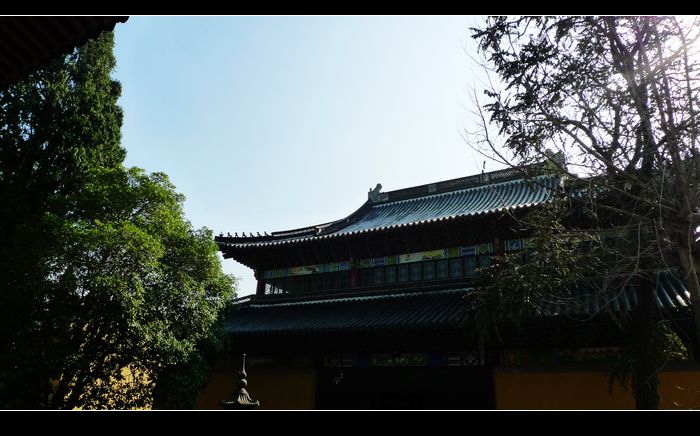 P1050390.JPG