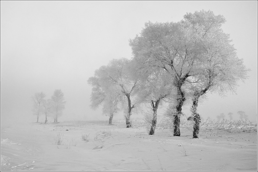 “_L095011.jpg