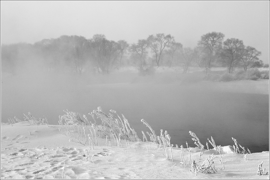 “_L095114”.jpg