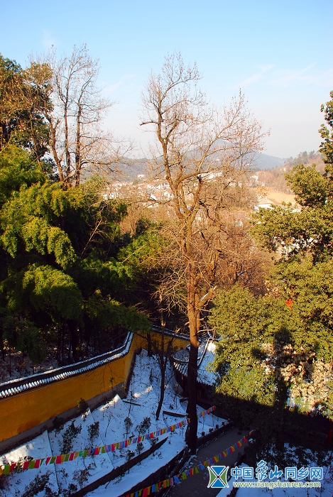DSC_9471.JPG