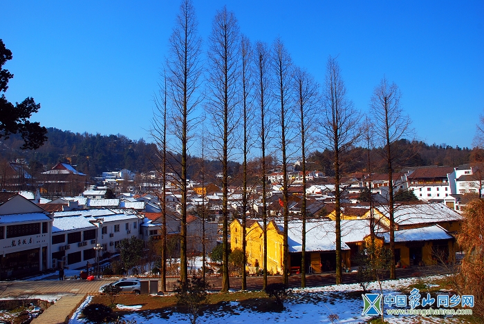 DSC_9468.JPG