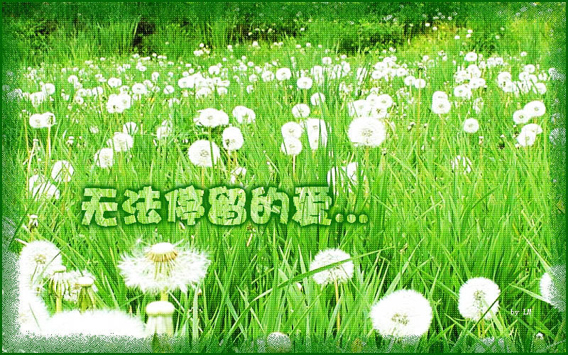 7.蒲公英1.jpg