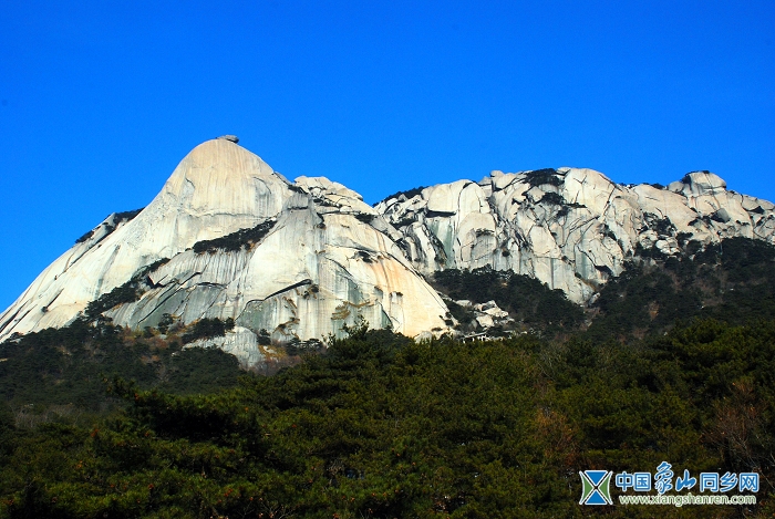 DSC_9596.JPG