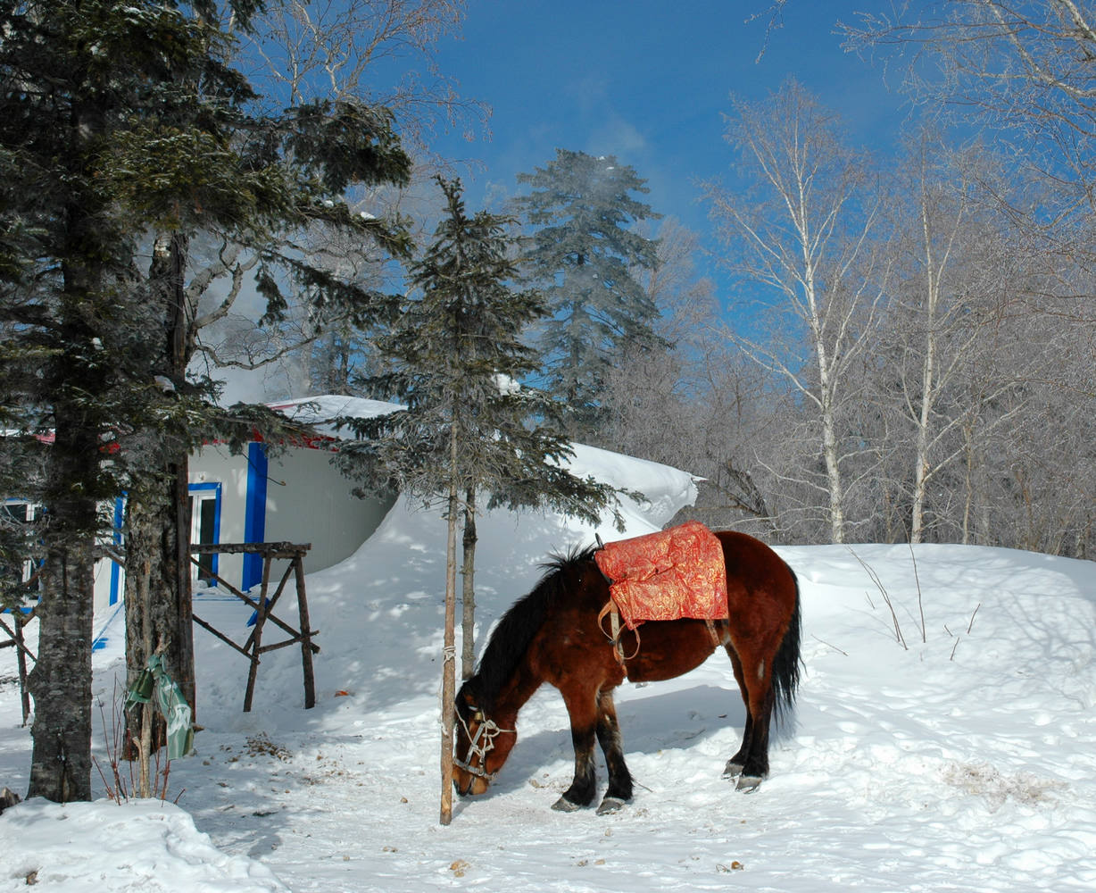 雪乡穿越7.JPG