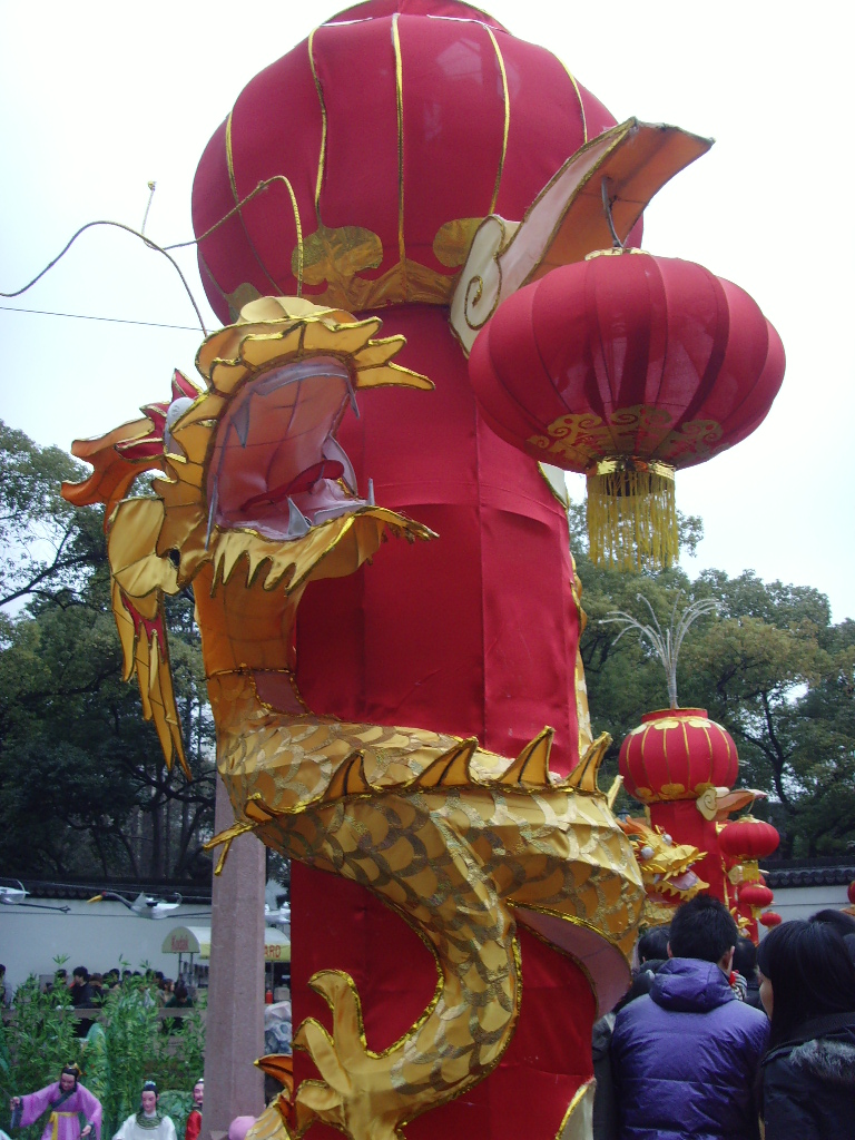 旋转 SNV31838.JPG