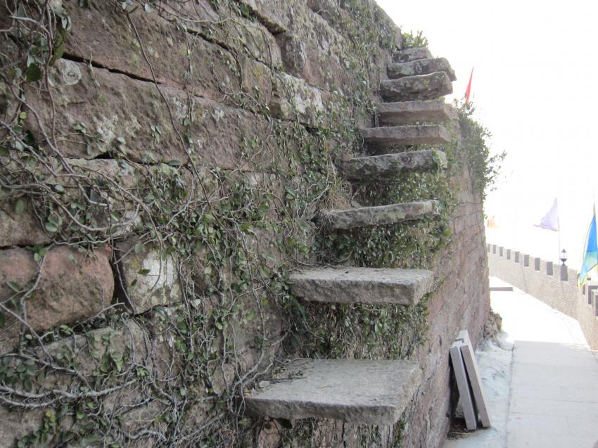 金鸡山8.jpg