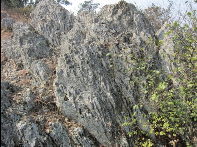 金鸡山16.jpg