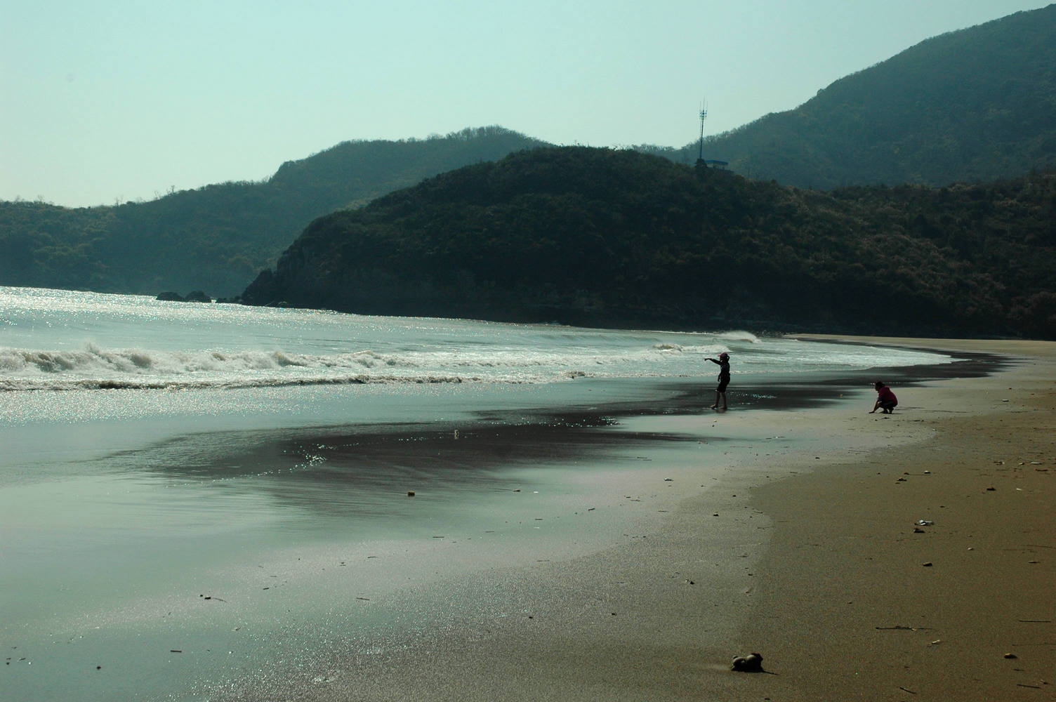 DSC_0017.jpg