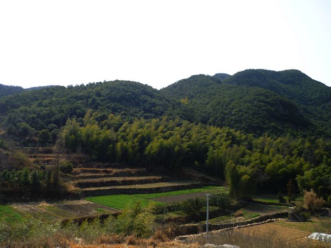 P1050046.JPG