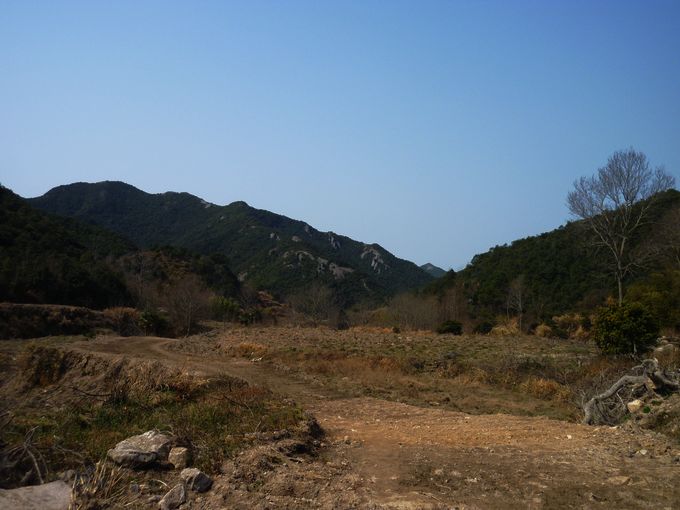 P1050055.JPG