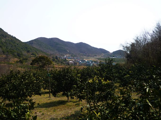 P1050085.JPG