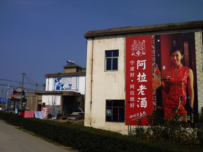 P1050117.JPG