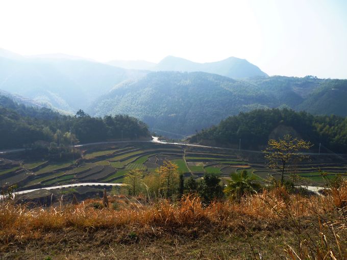 P1050151.JPG