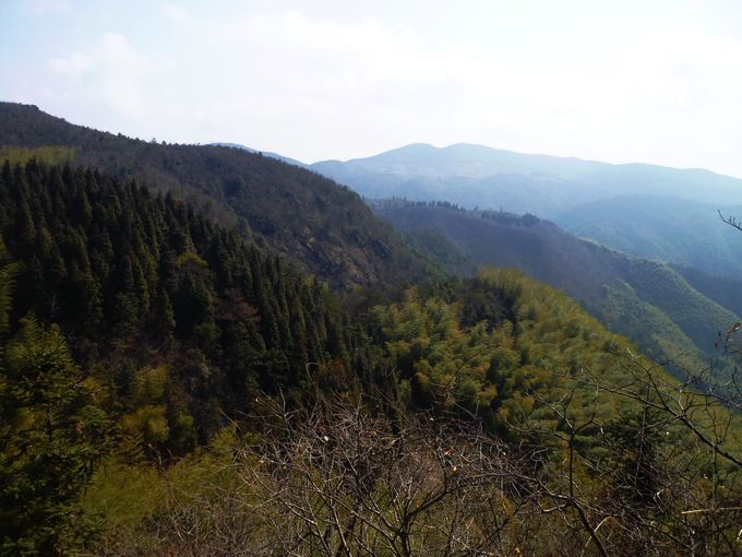 P1050203.JPG