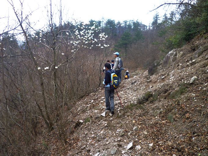P1050270.JPG