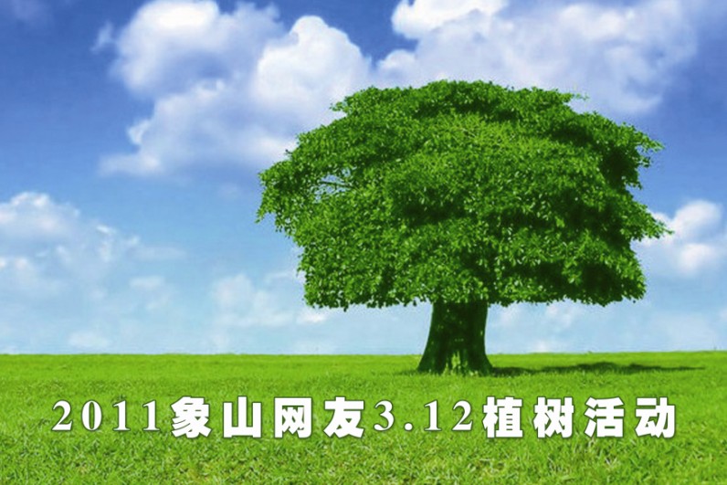 植树.jpg