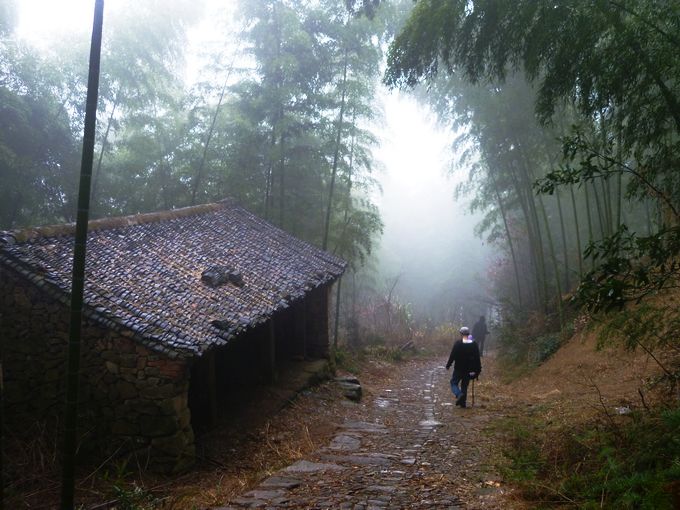 P1050554.JPG