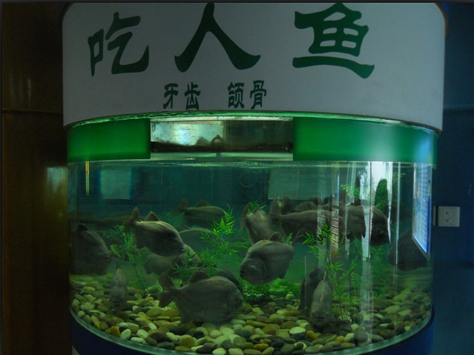 海底世界2.jpg