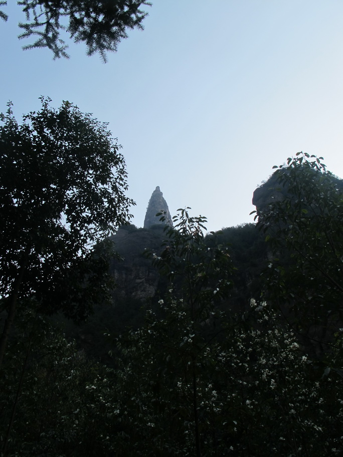 IMG_3334_调整大小.JPG