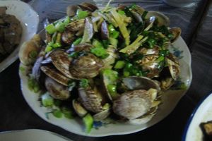 IMG_0502.JPG
