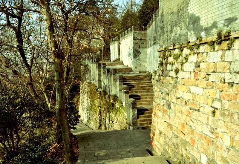DSC_0018.jpg