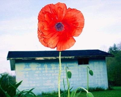 2011012822103282841.jpg
