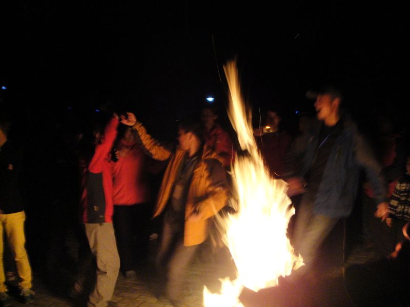DSC02379.jpg