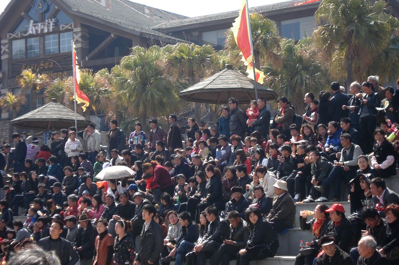 DSC08568.jpg
