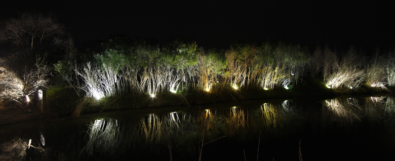 DPP_0007.JPG