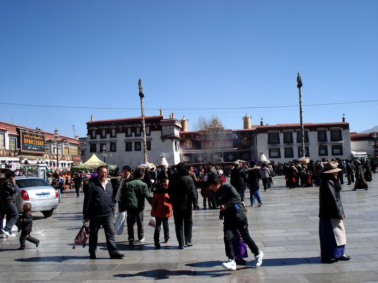 DSC08091.jpg