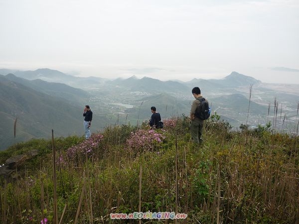 20090413_aec3b5d50d8aa8cca112gXfmY33q3Fy9.jpg