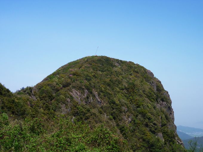 P1060166.JPG