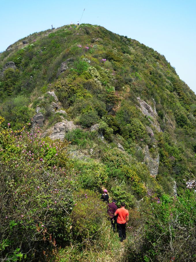 P1060174.JPG